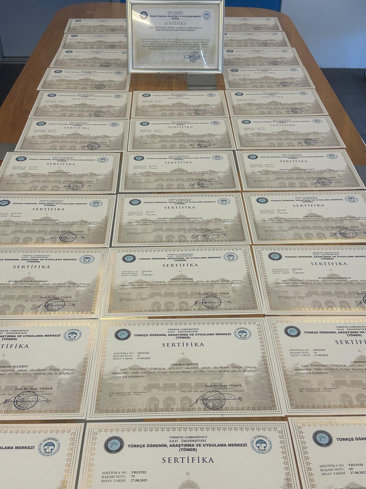 Medical & Health Tourism